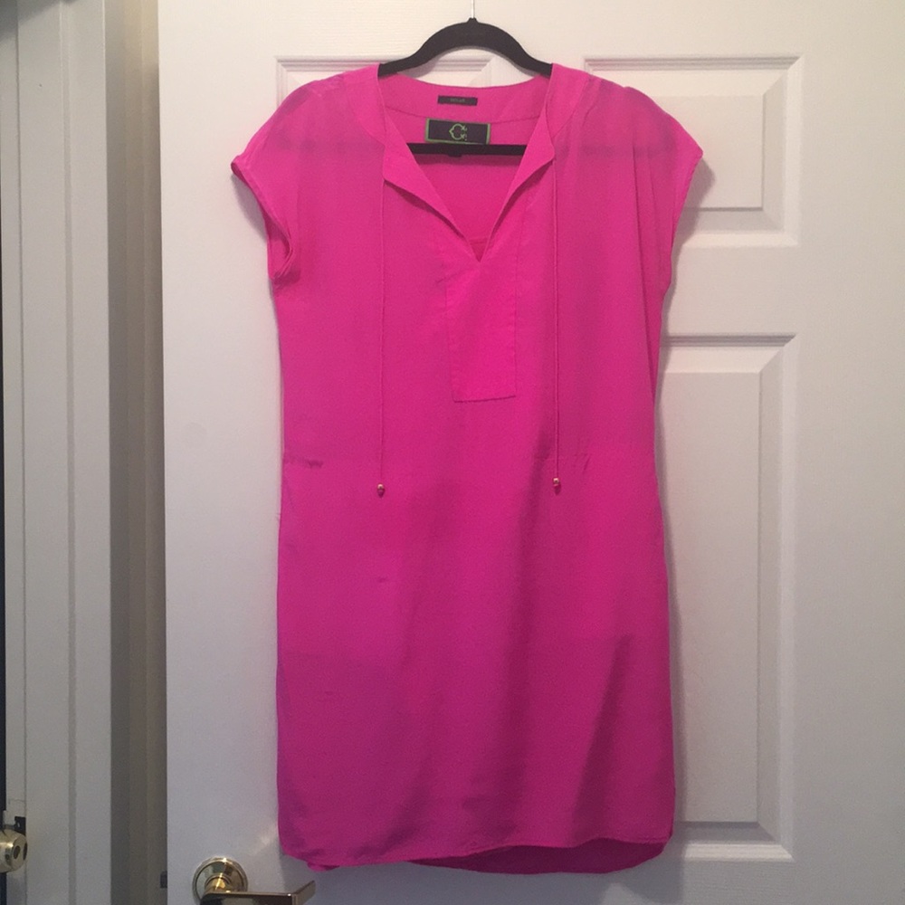 CWonder tunic dress
